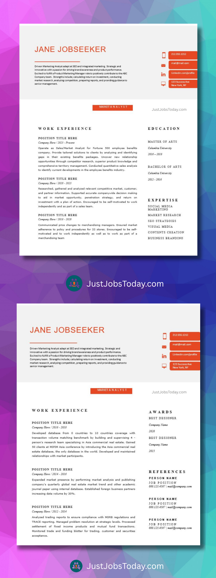 Resume Examples - Egypt Resume Template 2 Pages