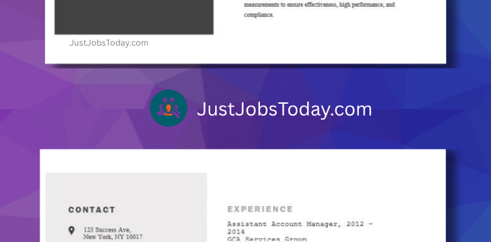 Resume Examples - Kenya Resume Template 2 Pages