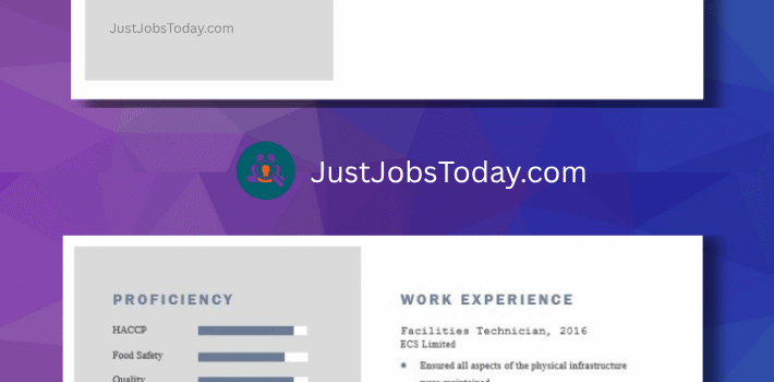 Resume Examples - Lebanon Resume Template 2 Pages