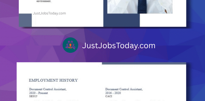 Resume Examples - Malawi Resume Template 2 Pages