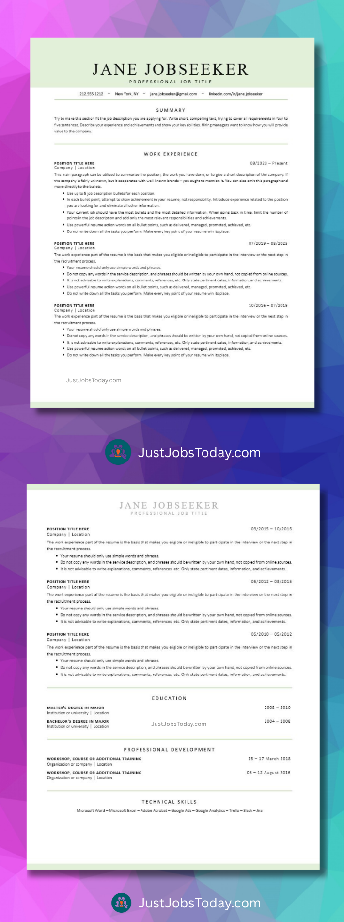 Resume Examples - Mexico Resume Template 2 Pages