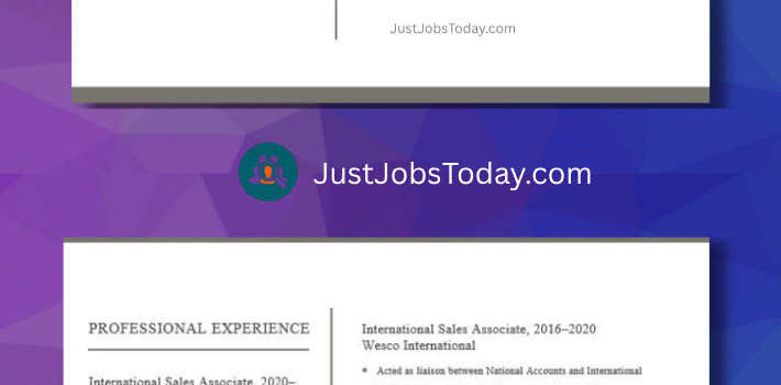 Resume Examples - Monaco Resume Template 2 Pages