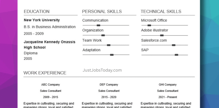 Resume Examples - New Zealand Resume Template