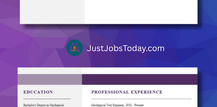 Resume Examples - Portugal Resume Template 2 Pages