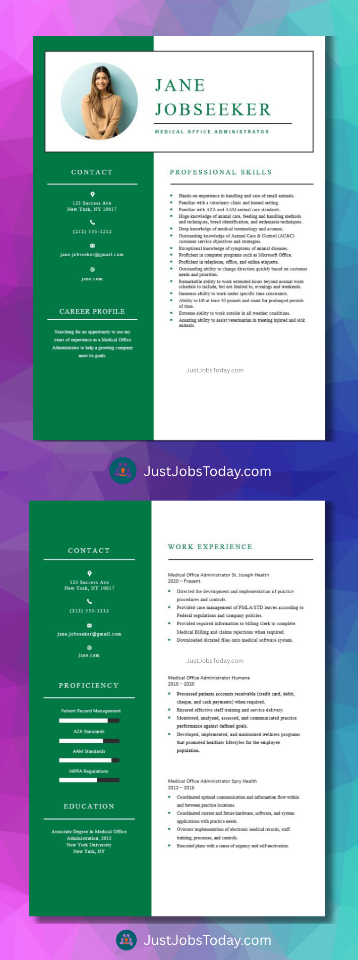 Resume Examples - Serbia Resume Template 2 Pages